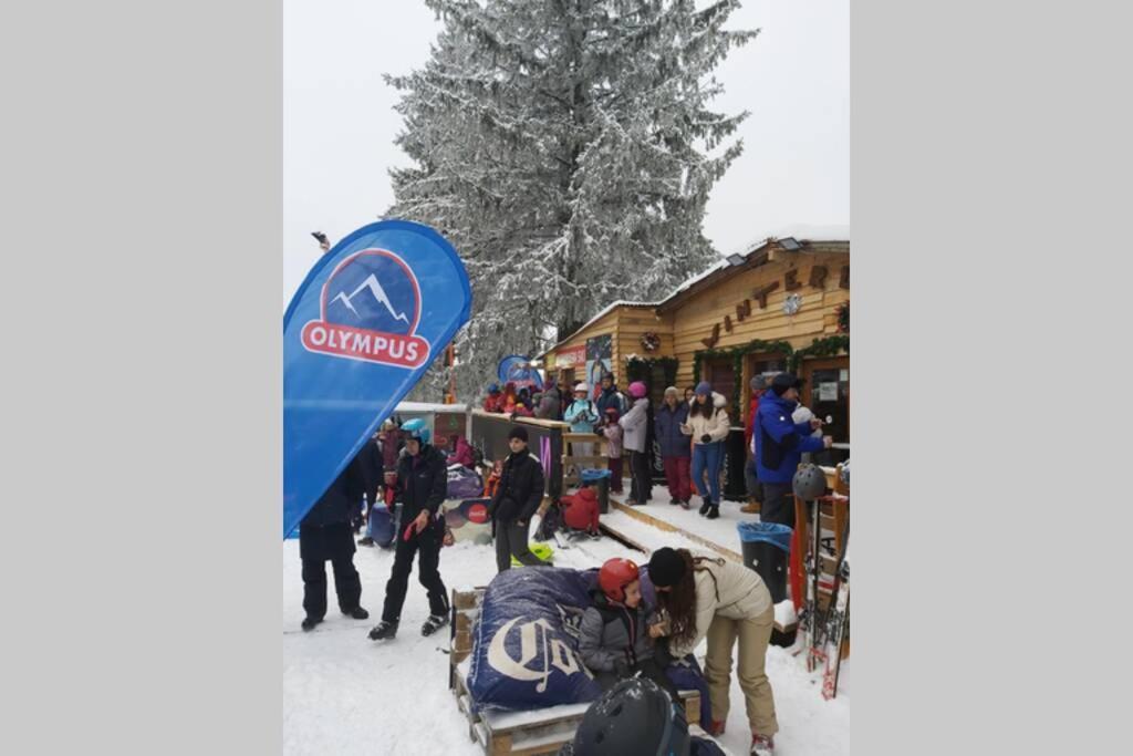 Large Vacation Apartment In Poiana Brasov Esterno foto