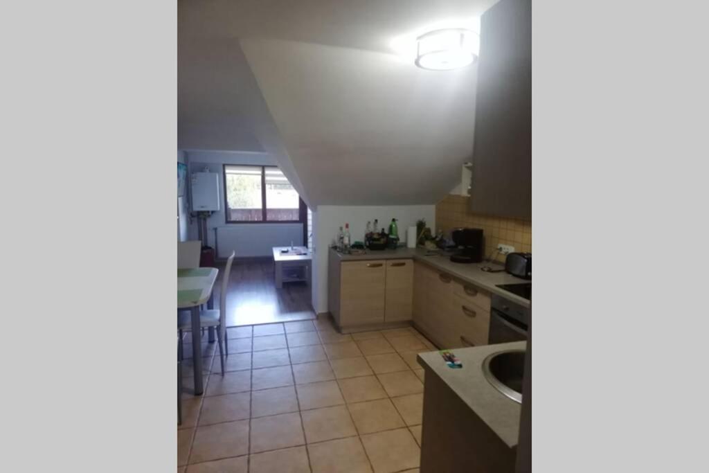 Large Vacation Apartment In Poiana Brasov Esterno foto