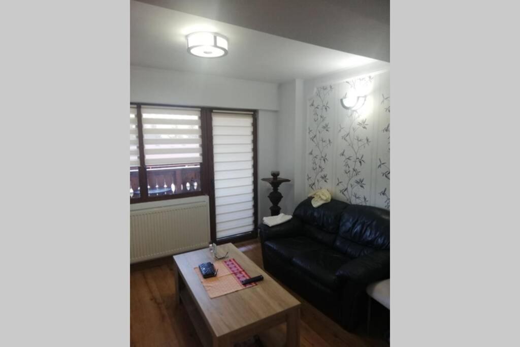 Large Vacation Apartment In Poiana Brasov Esterno foto