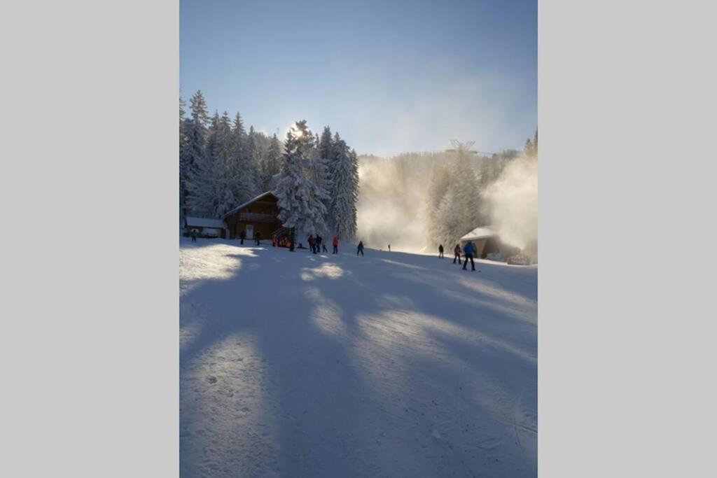 Large Vacation Apartment In Poiana Brasov Esterno foto